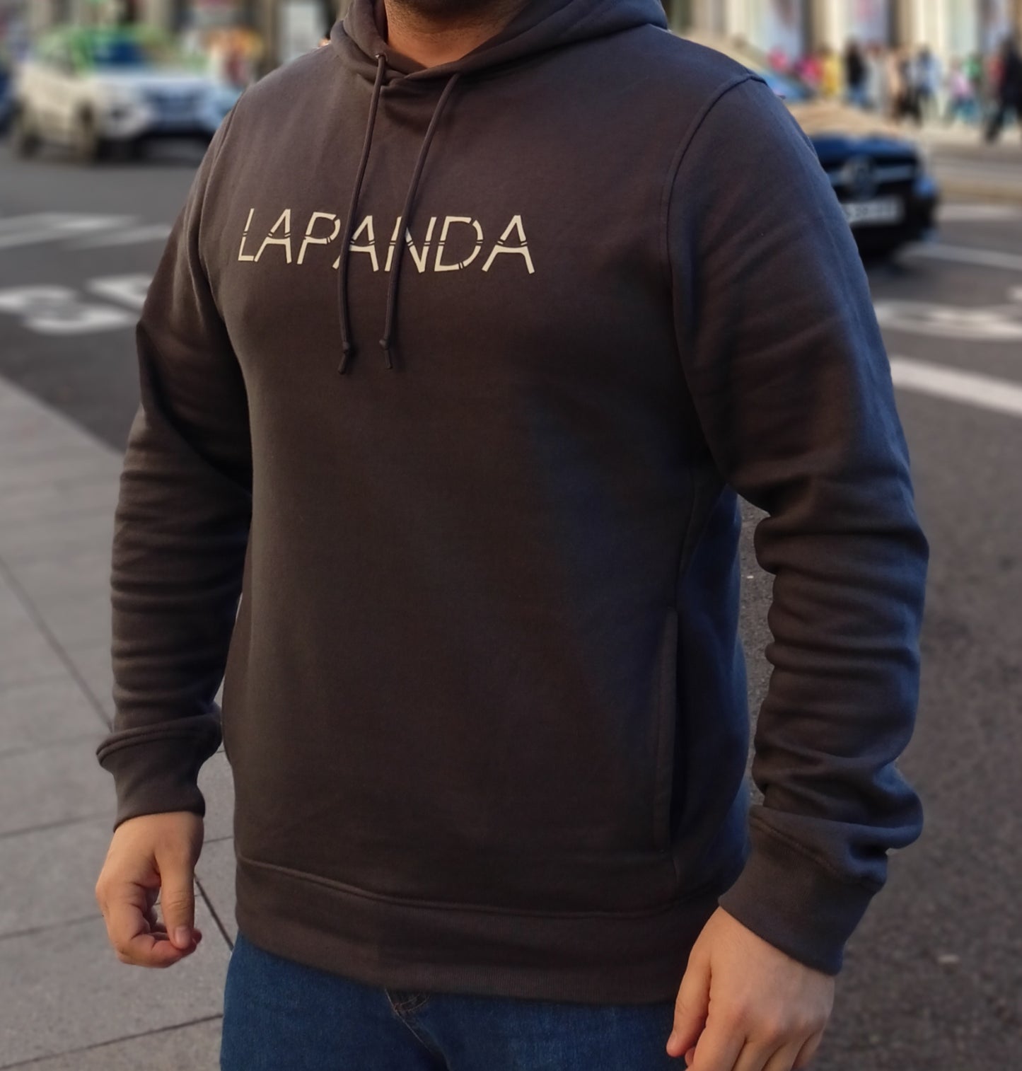 Sudadera "LaPanda" gris